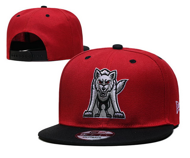 NCAA hats 025