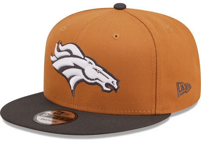 NFL hats 063